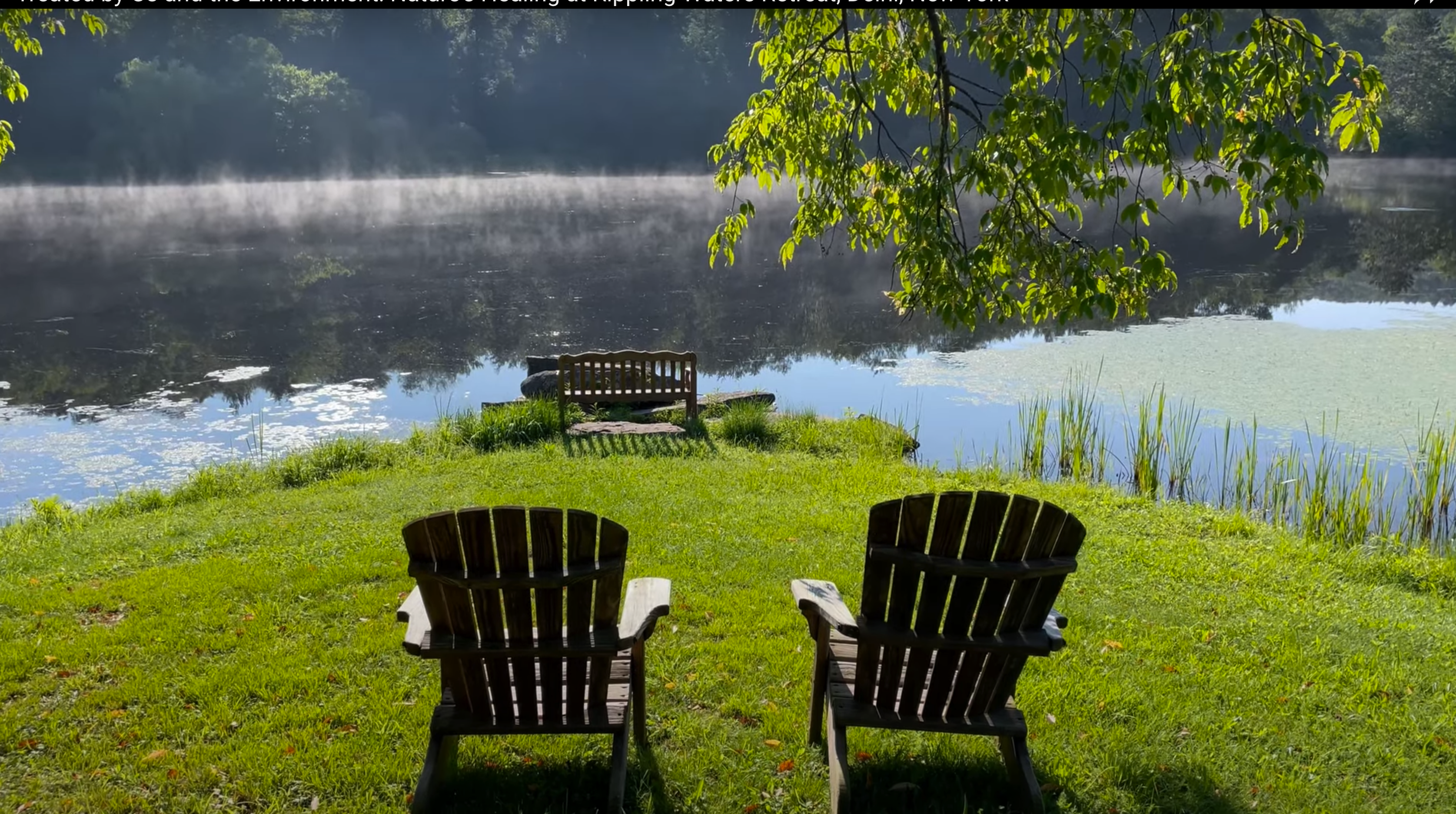 Your Spot